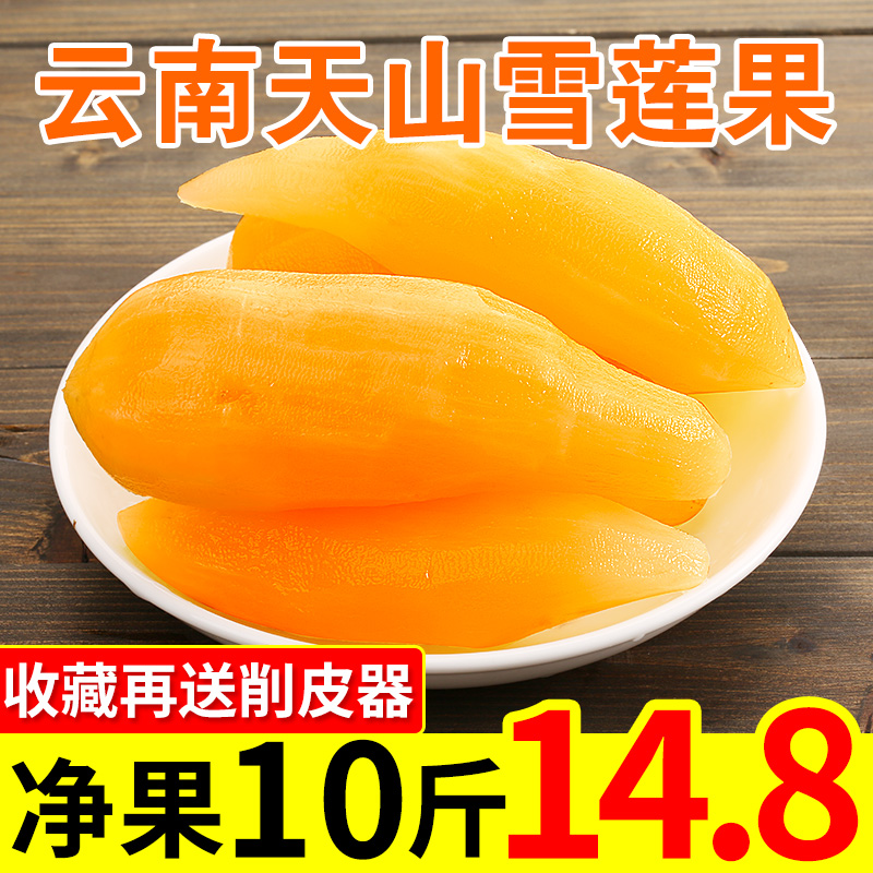 云南天山雪莲果新鲜现挖10斤孕妇水果包邮红心特级当季雪连果5