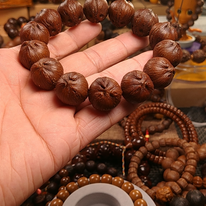 缘来紫金鼠18+原皮SS