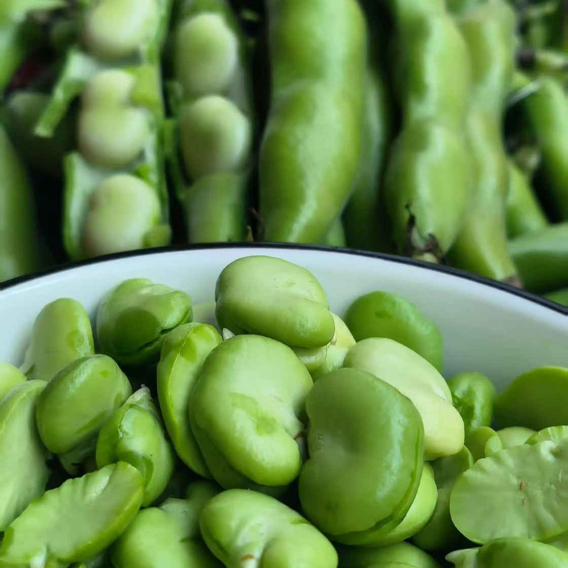 云南新鲜蚕豆胡豆米纯手工剥壳炖汤炒肉,水产肉类/新鲜蔬果/熟食,新鲜豆类,淘宝优惠券,粉丝福利购,淘宝优惠卷