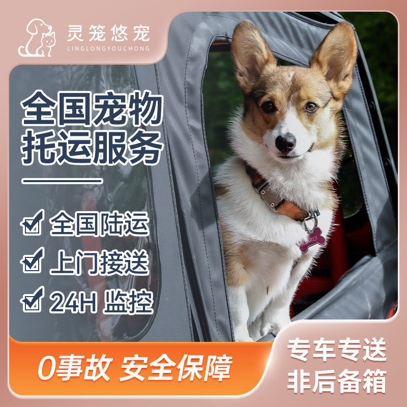 全国宠物托运陆运汽车快递汽车猫狗仓鼠兔子活体运输