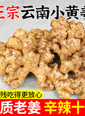 正宗云南小黄姜新鲜罗平生姜老姜农家自种黄姜月子姜干姜非嫩母姜