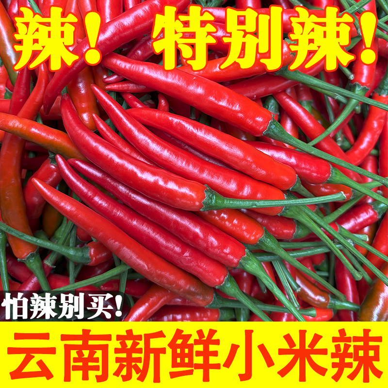 云南新鲜现摘小米辣椒农家红辣椒