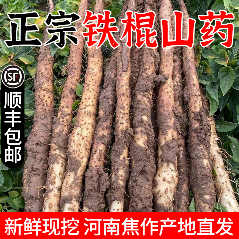精选正宗河南焦作新鲜淮山铁棍山药5斤温县直发垆土农家怀山药长