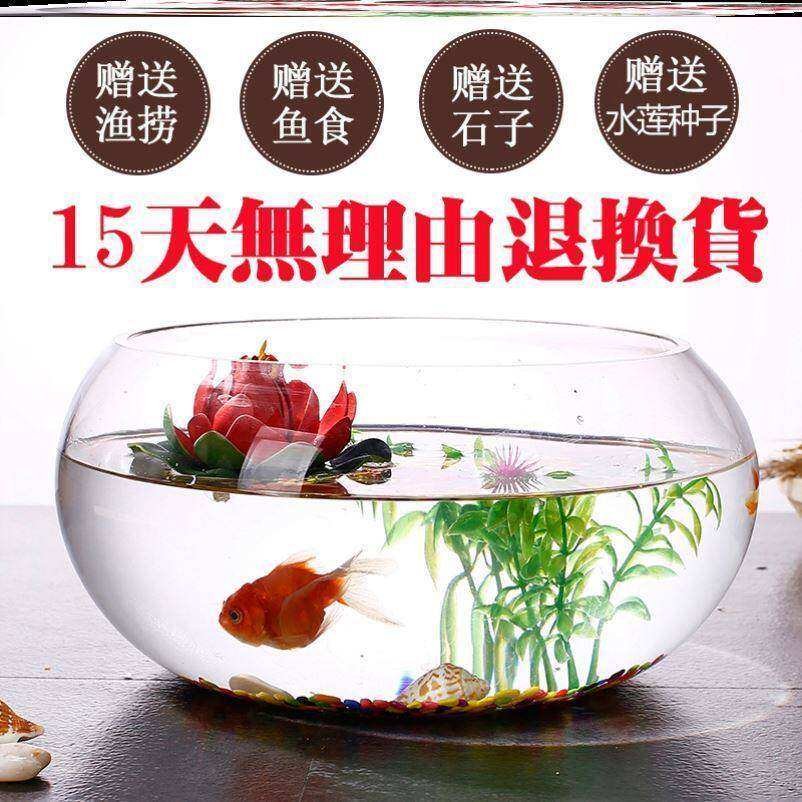 鱼缸客厅小型家用生态草缸摆设精致宿舍餐厅鞋柜布景办公桌观赏