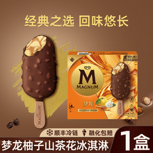 和路雪梦龙雪糕柚子山茶花新口味尝鲜装