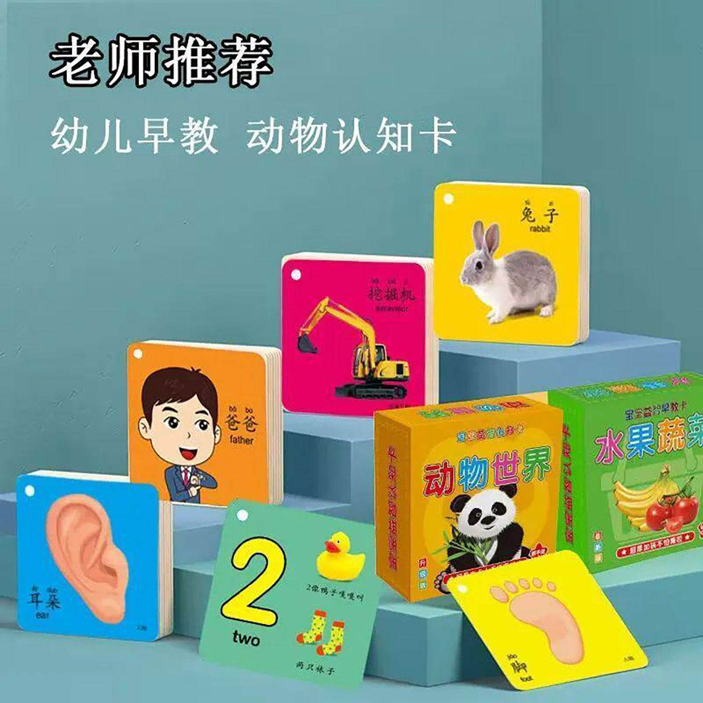儿童早教书撕不烂早教卡0-6岁宝宝益智早教认知卡儿童启蒙认知卡