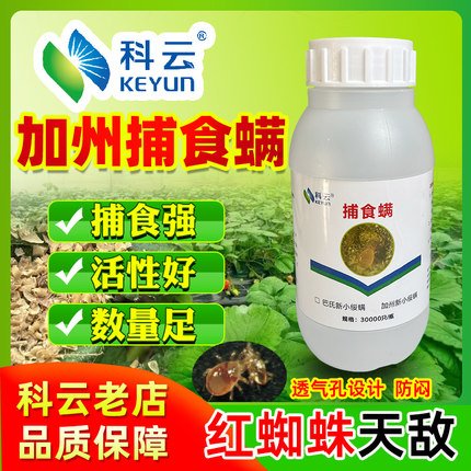 捕食螨科云加州斯氏防红蜘蛛蓟马叶螨草莓柑橘果蓝莓葡萄树蔬菜用