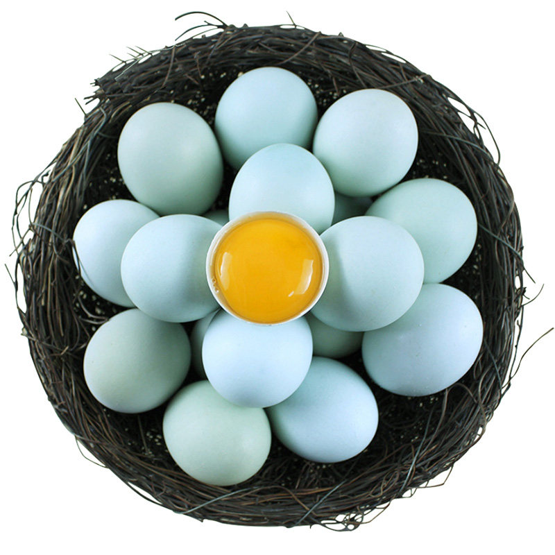 贵州长顺绿壳鸡蛋农家散养新鲜初生蛋鲜鸡蛋初产蛋100枚顺丰包邮