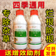 草甘膦除草神剂杀草药除杂草果园树林荒地除草烂根剂农药除杂草剂