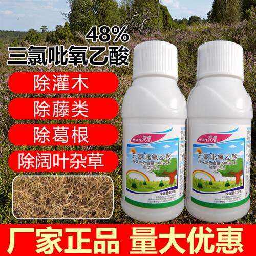 三氯吡氧乙酸除草烂根剂除杂草大乔木除灌木烂根专用药注射除草剂