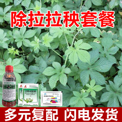 灭杀拉拉秧除草烂根剂除拉拉藤荒地果园烂根死根拉拉秧藤除草套装
