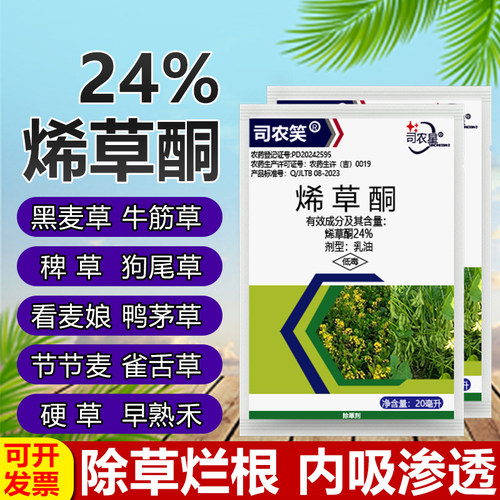 24%烯草酮除草剂冬油菜田大豆田苗后一年生禾本科杂草专用除草药