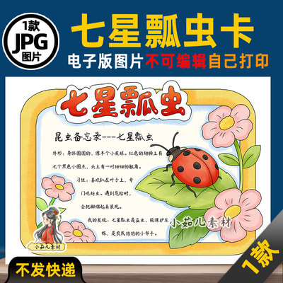 1316【电子版】昆虫备忘录七星瓢虫名片卡手抄报线稿图片