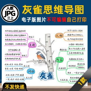 B853三年级语文上册灰雀思维导图电子版可打印线稿图片素材