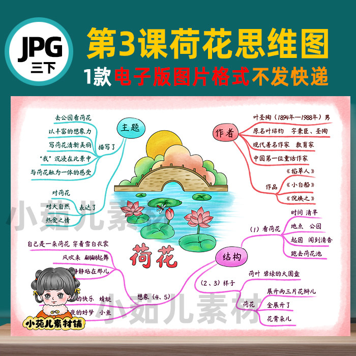 b575三语下第3课荷花思维导图彩图线 稿电子版图片
