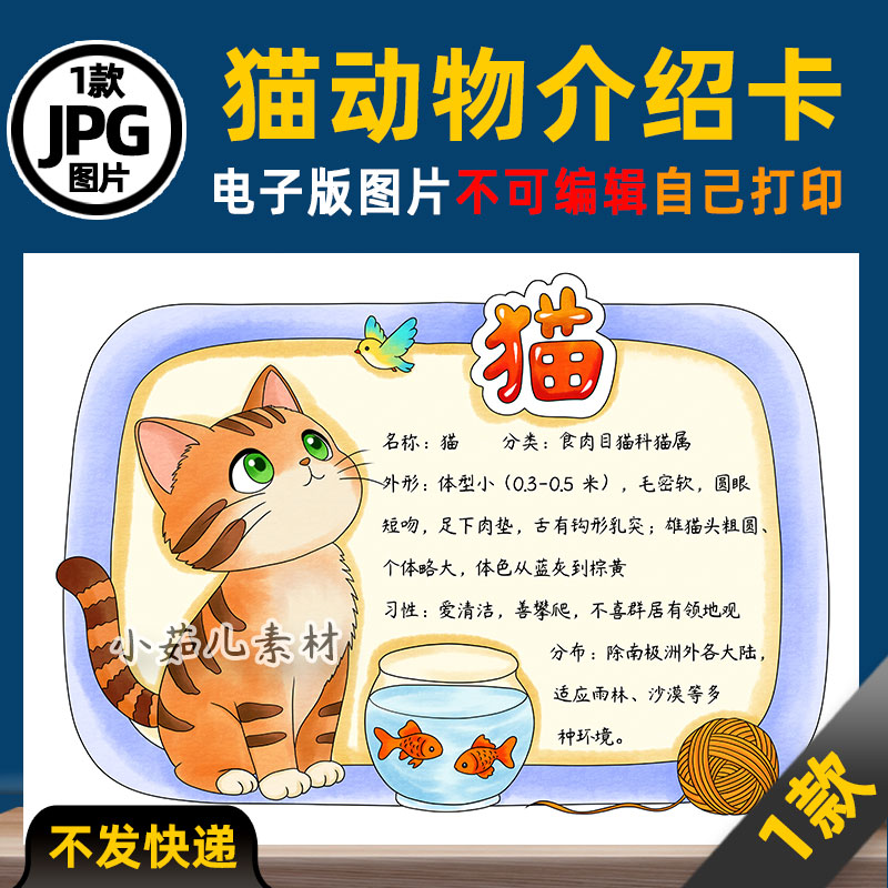 1140【电子版】猫动物名片动物卡片动物观察手抄报线稿图片