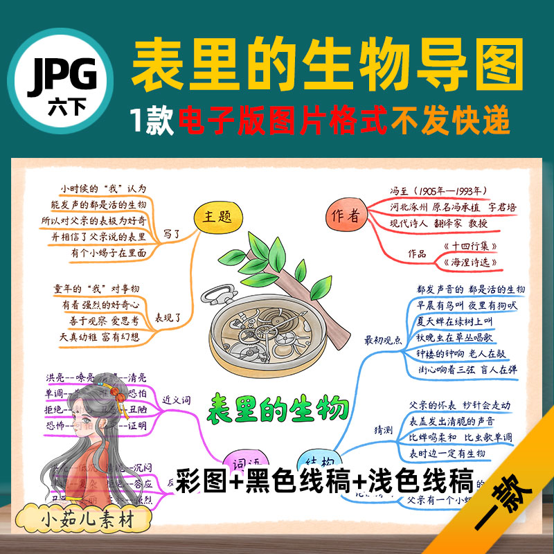B645六语下表里的生物思维导图模板电子版图片自己打印高清线稿