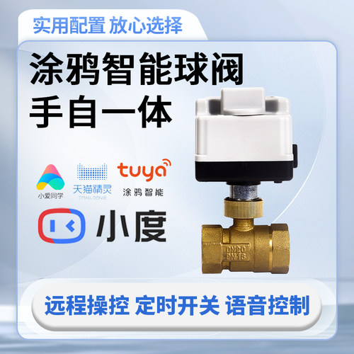 涂鸦智能手自一体220v电动二三通球阀远程APP控制遥控水阀电动阀