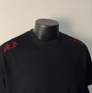 两京一十三省短袖大明朝刺绣T恤严世蕃经典语录衣服300g重磅纯棉