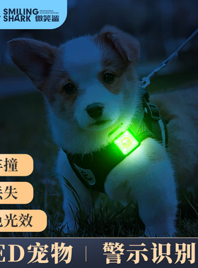 夜光遛狗灯狗狗防走丢失车祸宠物神器充电led闪光夜间安全信号灯