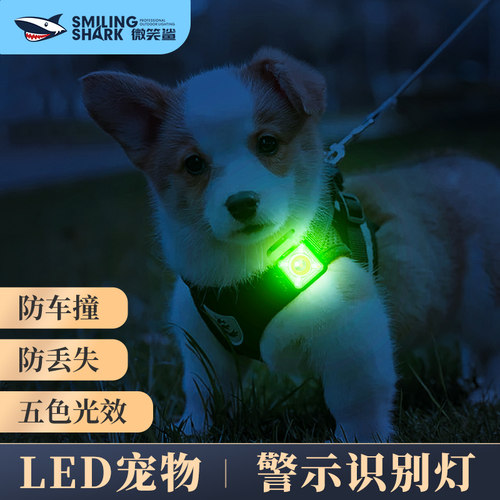 闪光遛狗灯可充电夜间安全信号灯
