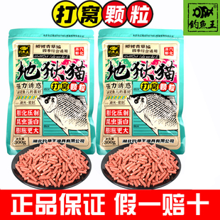 钓鱼王地狱猫打窝颗粒昆虫蛋白野钓打窝鲫鱼鲤鱼红虫底窝四季鱼食