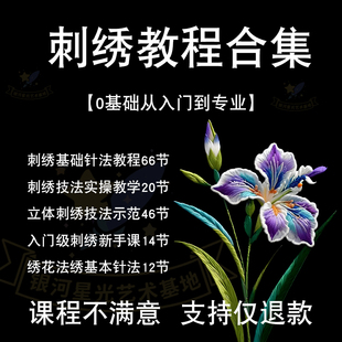 刺绣教程训练图案绣花培训针线法式 新手苏绣零基础教学自学课程