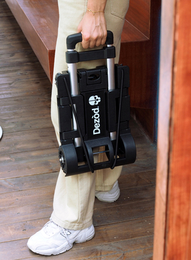 Dezòd 便携小推车可折叠迷你家用买菜取快递拿包裹 混沌盒子