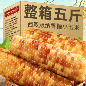 云南西双版纳香糯小玉米即食真空新鲜傣家甜糯玉米棒粗粮代餐苞米
