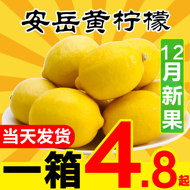 柠檬新鲜10斤皮薄一级包邮批发现摘小柠檬鲜柠檬安岳柠檬黄柠檬