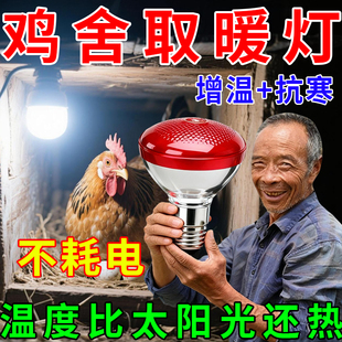 鸡舍取暖灯养殖场取暖灯鸡舍保暖鸡窝过冬抗寒增温取暖灯养殖专用