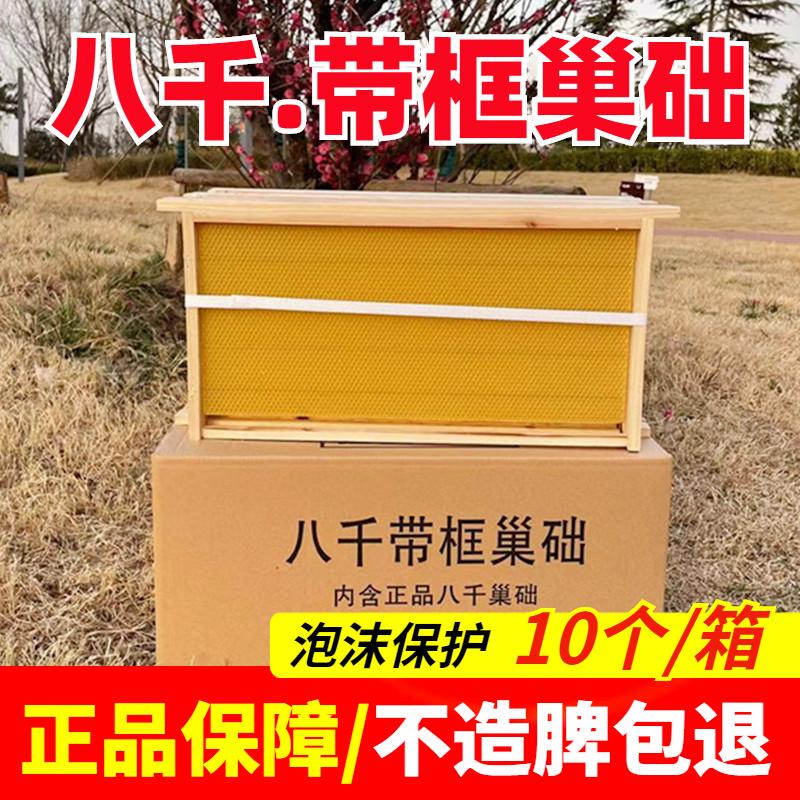 巢框中蜂巢础成品巢框蜂箱巢框铁丝意蜂巢脾蜂蜡蜜蜂巢础带框蜂具