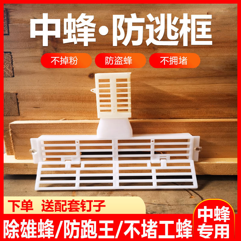 中蜂防逃框防盗器防蜂王飞逃防意蜂盗多功能蜂箱防跑片养蜂王笼