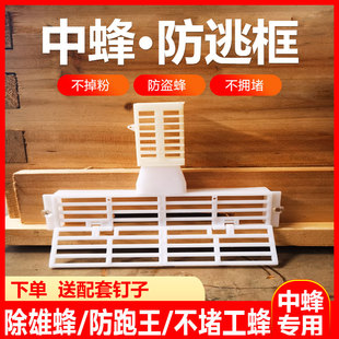 中蜂防逃框防盗器防蜂王飞逃防意蜂盗多功能蜂箱防跑片养蜂王笼