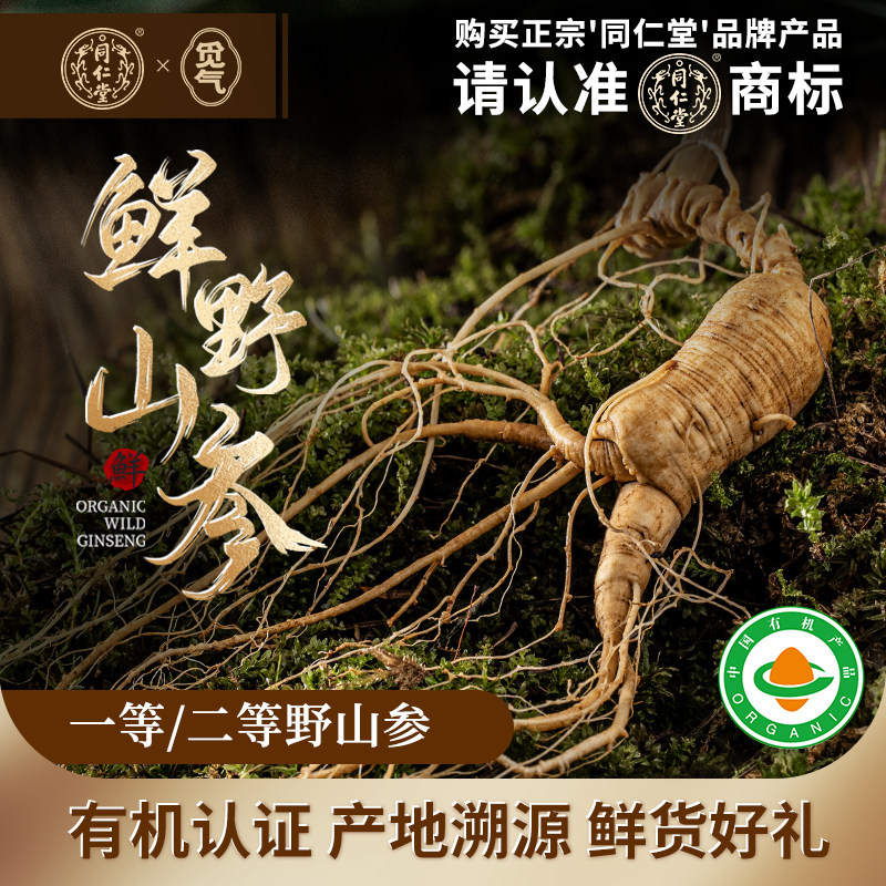 觅气新鲜野山参礼盒北京同仁堂