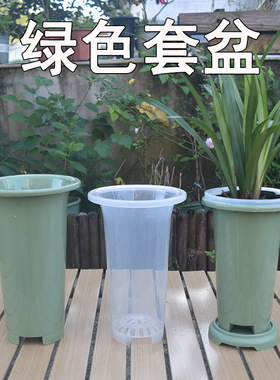 兰花盆套盆绿色兰花花盆兰花专用盆塑料兰花种植盆加厚加高