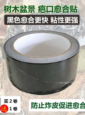 老崔盆景防树木伤口炸皮疤口愈合黑色锡箔纸贴快速形成马眼