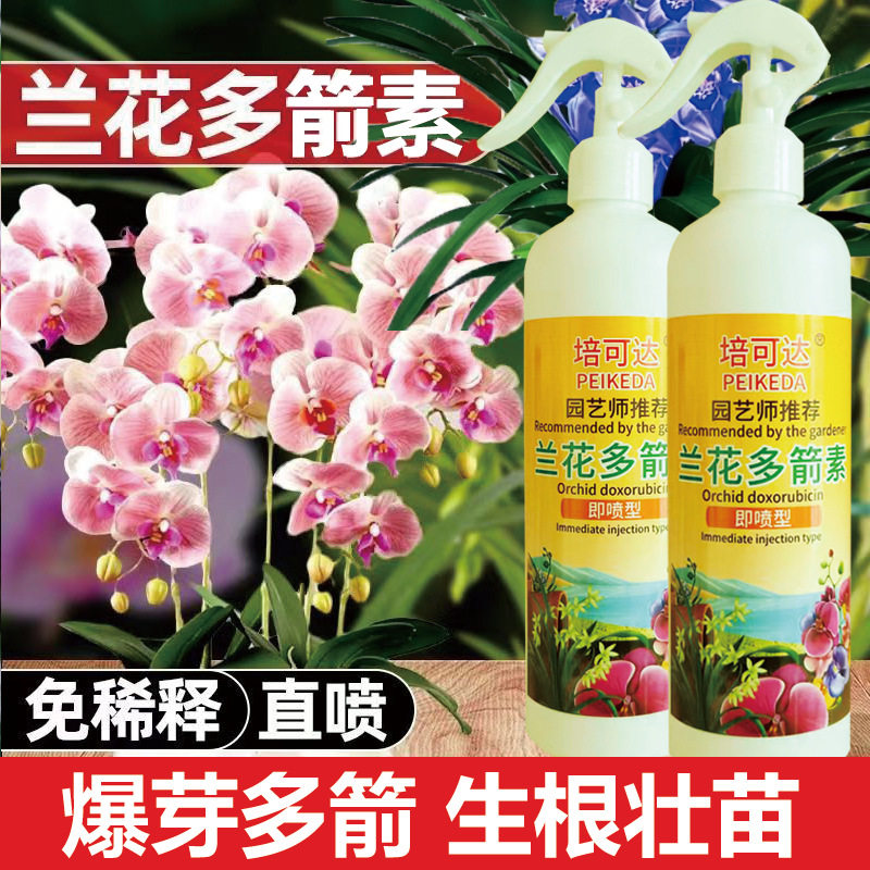 兰花多箭素爆芽素营养液免稀释蝴蝶兰墨兰石斛兰蝴蝶兰多箭王图片