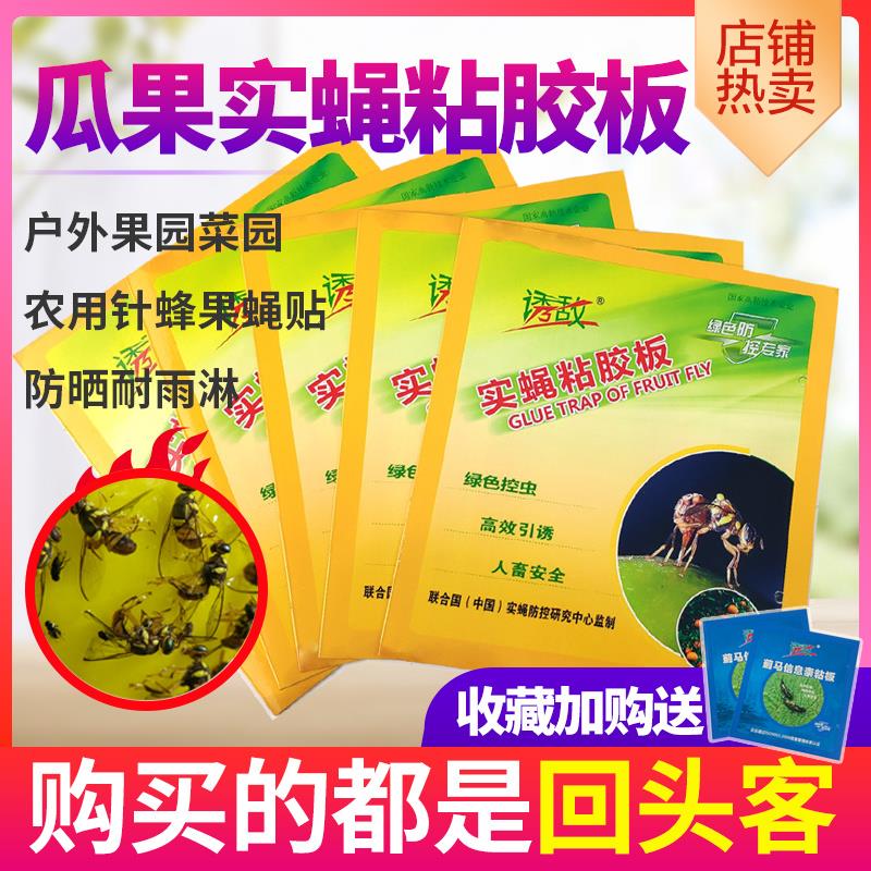 诱敌实蝇粘胶板果蝇诱捕贴信息素粘虫板果园农用双面黄板针蜂包邮