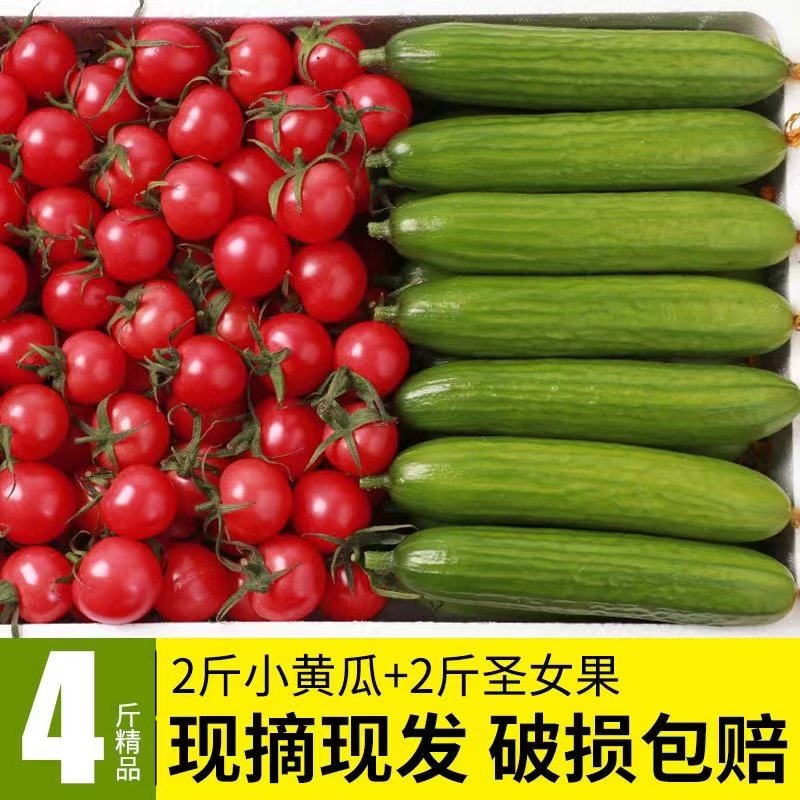 圣女果小黄瓜青瓜樱桃小番茄新鲜西红柿子千禧水果生吃2/4斤