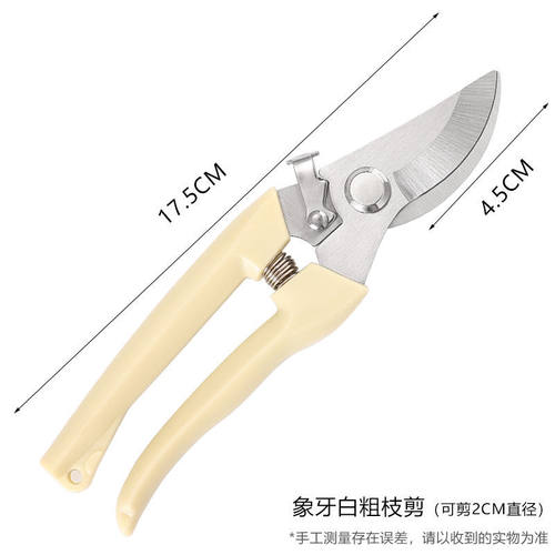 修枝剪剪树枝专用剪子园林园艺省力花G枝剪果摘果剪粗枝果树修剪