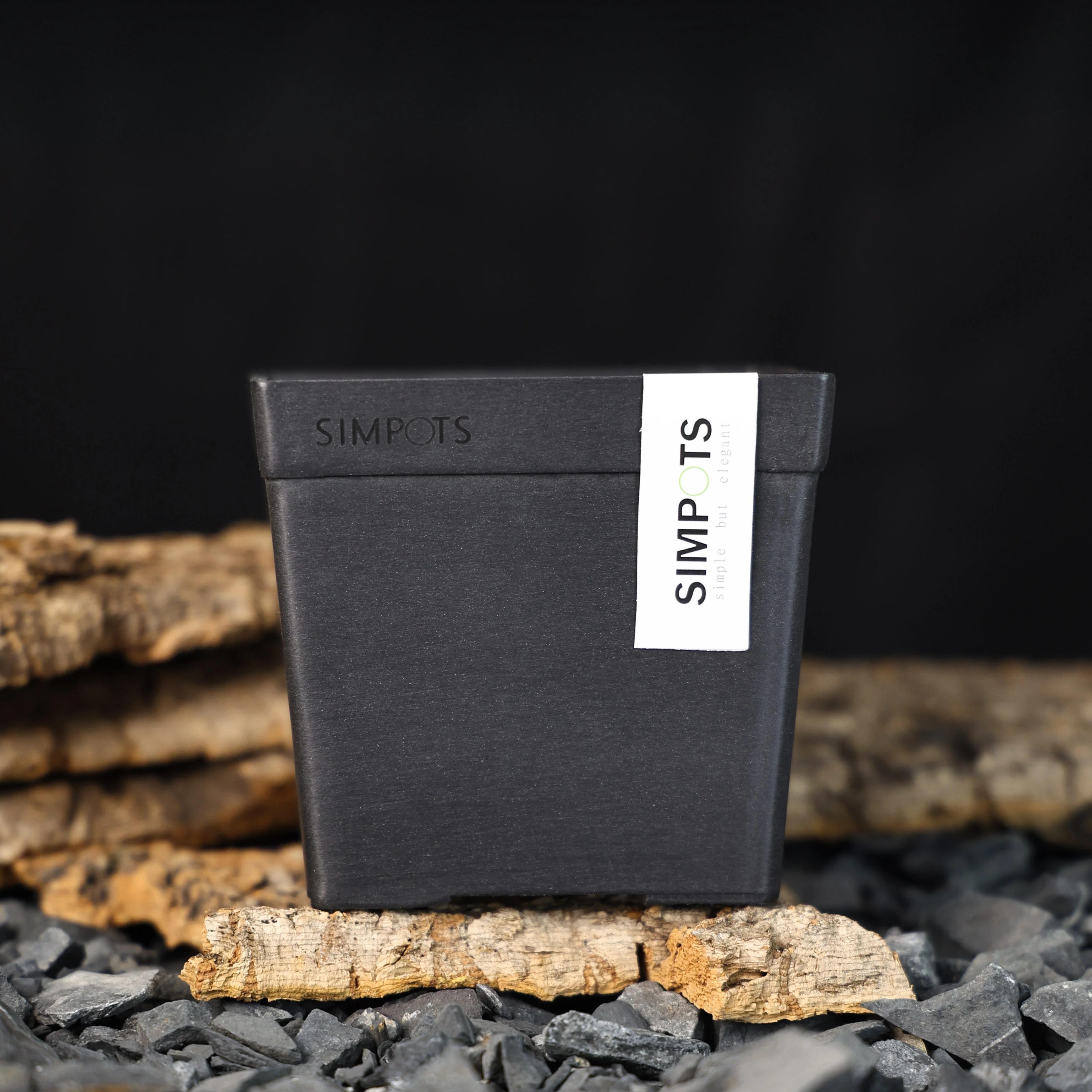 【朴原】SIMPOTS森宝原生造景盆园艺块根植物实用潮酷多肉花盆