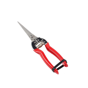 多功能专用不锈钢摘果剪刀摘葡萄树枝剪省力园艺剪刀花卉木家用套装水果店剪稀果修枝剪果树植物粗枝剪刀工具