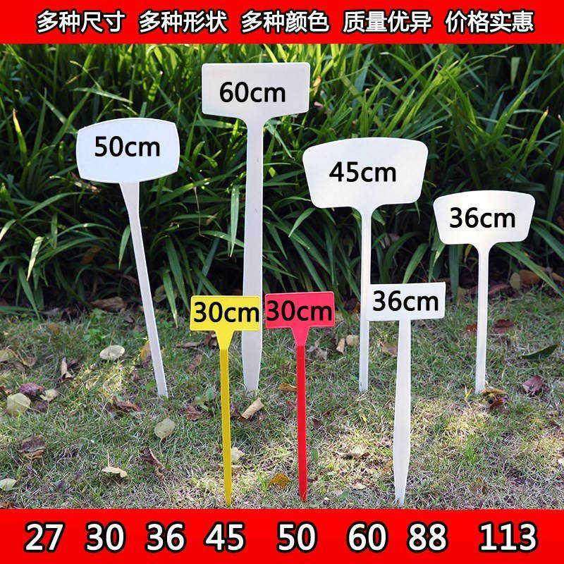 分类标识牌标价园艺标牌地量牌塑料长条花卉植物插花插标签大包邮
