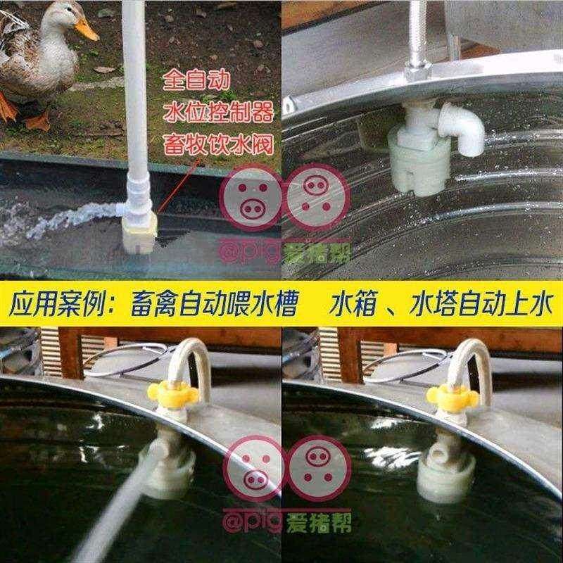 水位控制器猪牛羊鸡鸭鹅家禽自动饮水器槽喂水器养殖水箱水塔设备