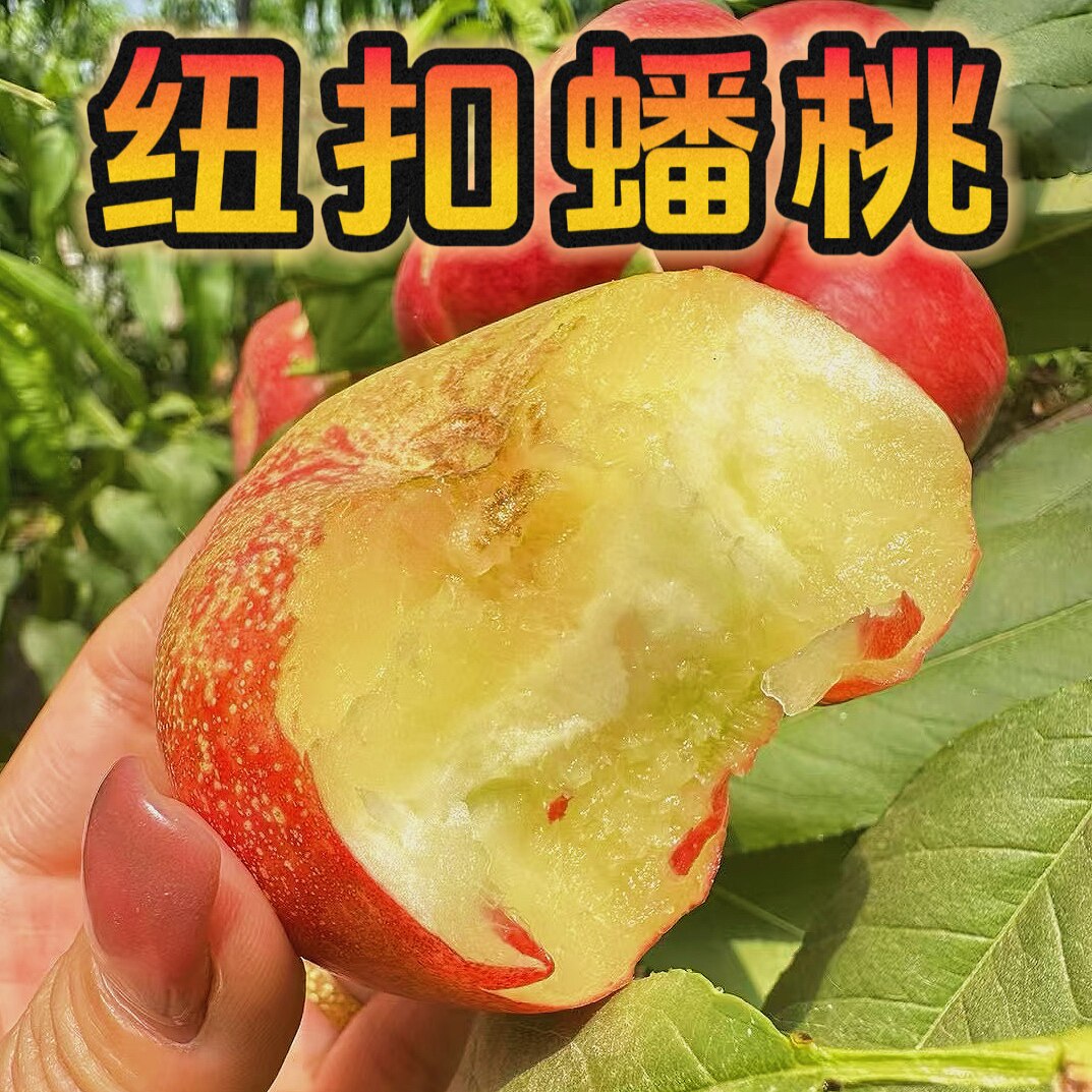 纽扣蟠桃新鲜水果陕西大荔特产应季时令水果顺丰包邮