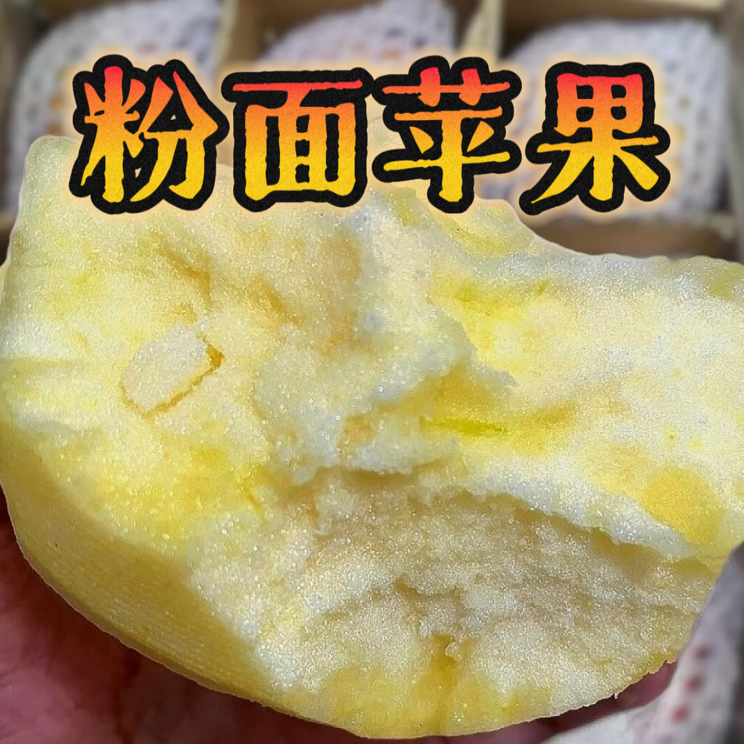 粉面沙甜老人小孩宝宝吃的苹果