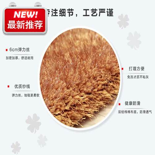 简约加厚弹力丝地毯家用客厅长毛茶几垫卧室沙发床前床边毯