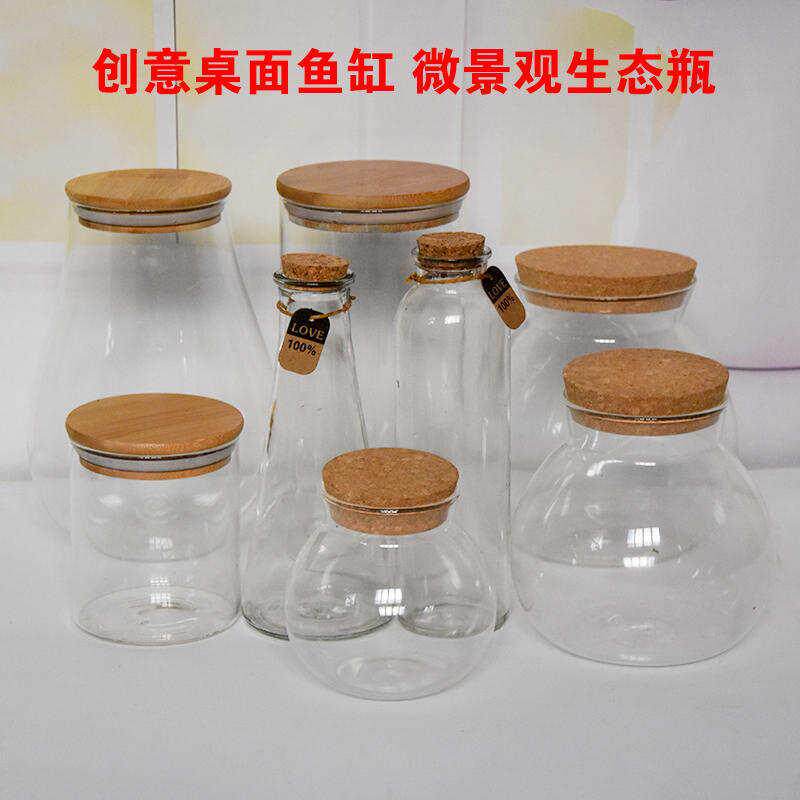 微景观玻璃容器小虾生态瓶小型观赏密封鱼虾小球藻免换水免打理