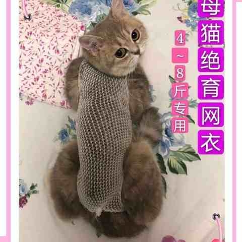 母猫绝育手术服猫咪术后护理服断奶服猫咪专用母猫衣服宠物衣服